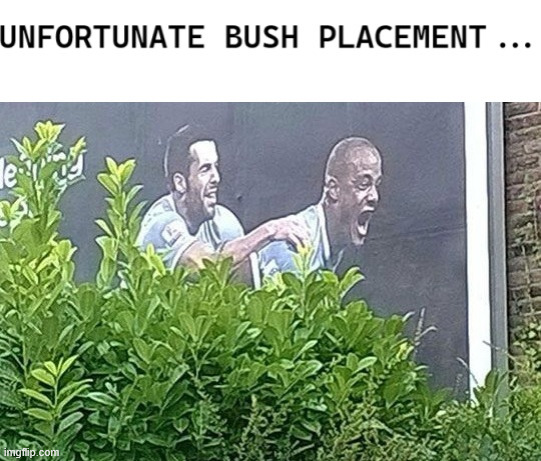 Over the hedge | image tagged in hedge,meme,climbing,lattice climbing,humor,football | made w/ Imgflip meme maker