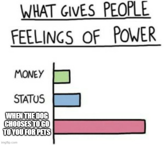 What Gives People Feelings of Power | WHEN THE DOG CHOOSES TO GO TO YOU FOR PETS | image tagged in what gives people feelings of power | made w/ Imgflip meme maker