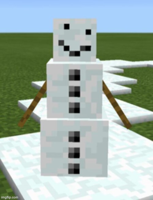 snow golem without pumpkin | image tagged in snow golem without pumpkin | made w/ Imgflip meme maker