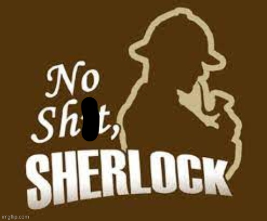 No shit sherlock | image tagged in no shit sherlock | made w/ Imgflip meme maker