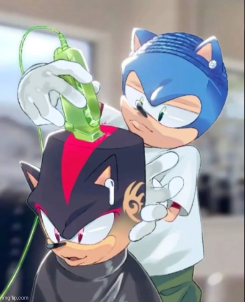 "Make my shit straight, Sonic." | image tagged in sonic | made w/ Imgflip meme maker
