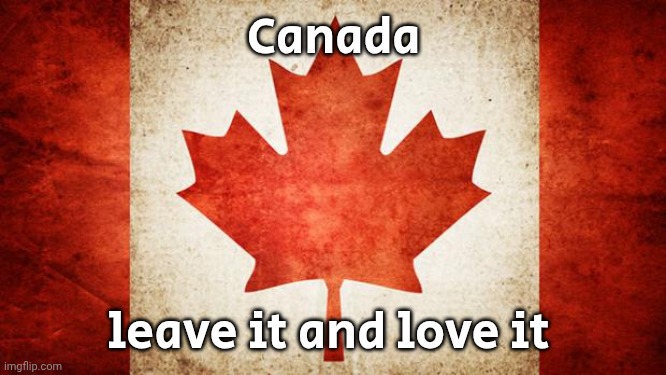 Canada | Canada leave it and love it | image tagged in canada | made w/ Imgflip meme maker