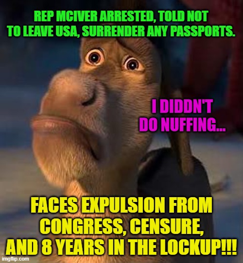 sad donkey | REP MCIVER ARRESTED, TOLD NOT TO LEAVE USA, SURRENDER ANY PASSPORTS. I DIDDN'T DO NUFFING... FACES EXPULSION FROM CONGRESS, CENSURE, AND 8 YEARS IN THE LOCKUP!!! | image tagged in sad donkey | made w/ Imgflip meme maker