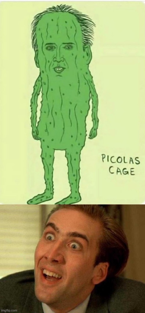 image tagged in nicholas cage is watching you,nicolas cage,pickle | made w/ Imgflip meme maker