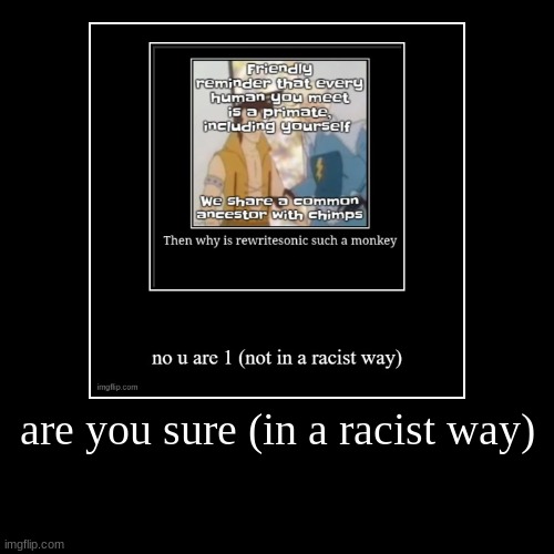 are you sure (in a racist way) | | image tagged in funny,demotivationals | made w/ Imgflip demotivational maker