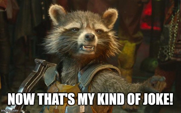 Rocket Raccoon | NOW THAT'S MY KIND OF JOKE! | image tagged in rocket raccoon | made w/ Imgflip meme maker