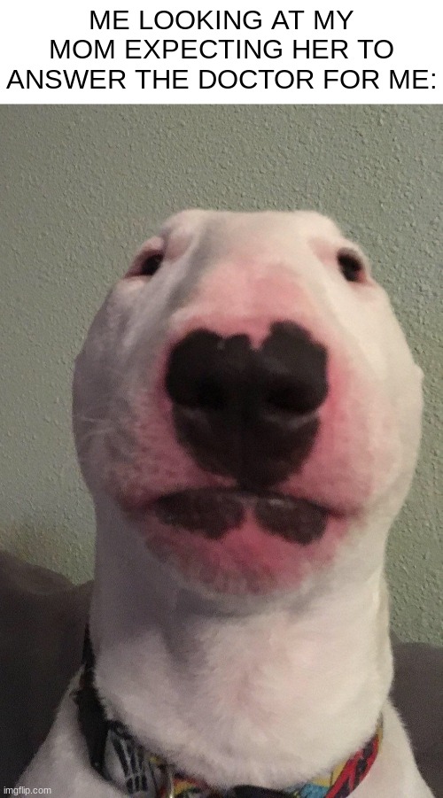 answer the question | ME LOOKING AT MY MOM EXPECTING HER TO ANSWER THE DOCTOR FOR ME: | image tagged in walter,memes,doctor,relatable | made w/ Imgflip meme maker