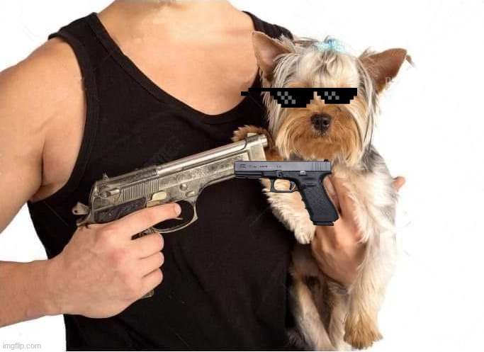 gangsta dog | image tagged in dog hostage | made w/ Imgflip meme maker