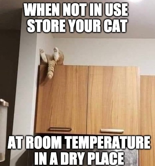 Cat Storage | image tagged in cats,funny cat memes,storage,funny,cat logic,fun | made w/ Imgflip meme maker