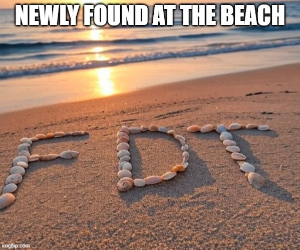 Shells were seen at the beach that said "F D T".  - funny - | NEWLY FOUND AT THE BEACH | image tagged in funny,fun,beach,donald trump,shells,mahatma gandhi rocks | made w/ Imgflip meme maker