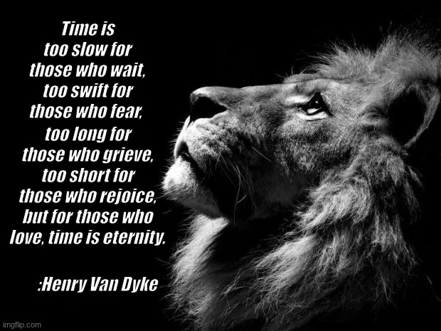 three things cannot be long hidden: the sun, the moon, and the truth | Time is too slow for those who wait, too swift for those who fear, too long for those who grieve, too short for those who rejoice, but for those who love, time is eternity. :Henry Van Dyke | image tagged in sad lion,sad,quotes,inspirational quotes | made w/ Imgflip meme maker