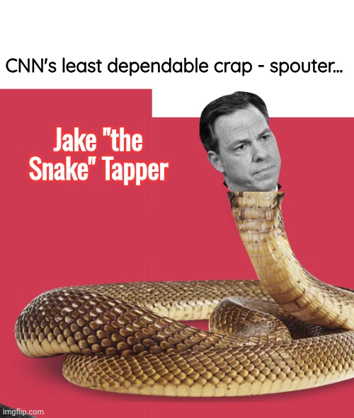 Jake the Snake Tapper | CNN's least dependable crap - spouter... Jake "the Snake" Tapper | image tagged in blank white template,jake tapper,cnn fake news | made w/ Imgflip meme maker