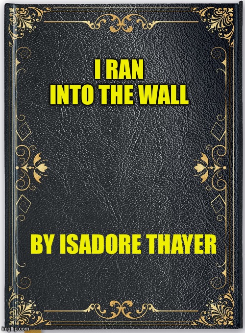 Book cover | I RAN INTO THE WALL BY ISADORE THAYER | image tagged in book cover | made w/ Imgflip meme maker