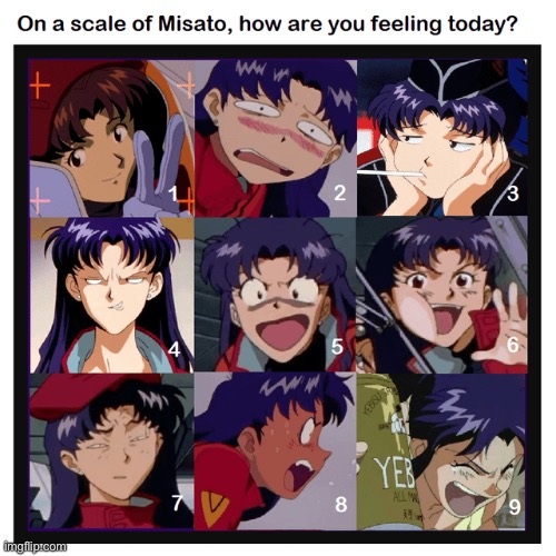 image tagged in evangelion,misato | made w/ Imgflip meme maker