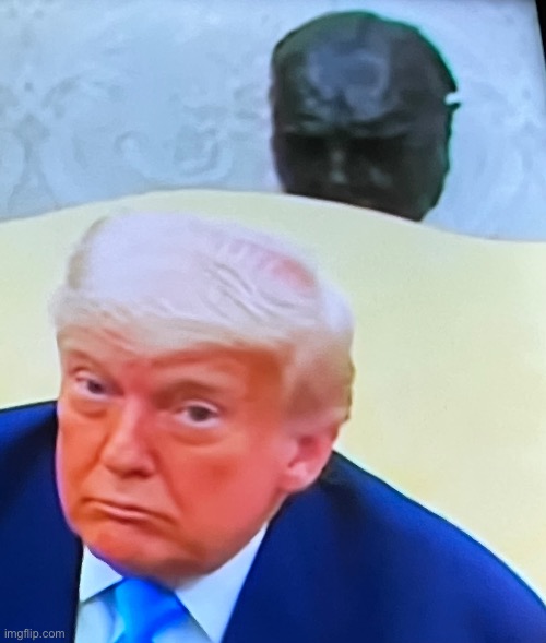 Trump and thing | image tagged in donald trump,trump,donald trump approves,president trump | made w/ Imgflip meme maker