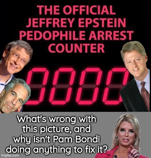 Why isn't Pam Bondi doing her job? | What's wrong with this picture, and why isn't Pam Bondi doing anything to fix it? | image tagged in blank grey,jeffrey epstein,pedophiles | made w/ Imgflip meme maker