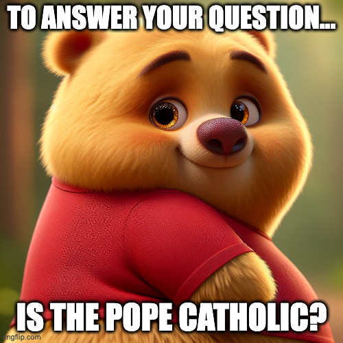 It wasn't a question! | TO ANSWER YOUR QUESTION... IS THE POPE CATHOLIC? | image tagged in pixar winnie | made w/ Imgflip meme maker