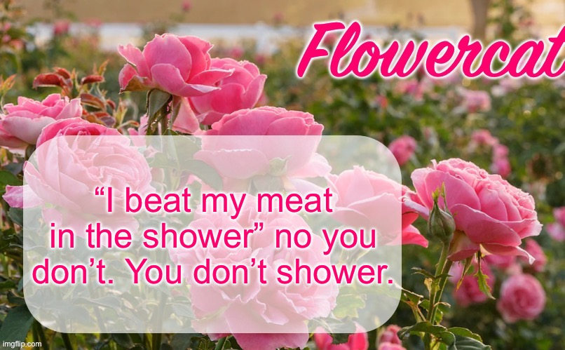 Stinky, oily child. Go shower, and use shampoo. | “I beat my meat in the shower” no you don’t. You don’t shower. | image tagged in flowercat template | made w/ Imgflip meme maker