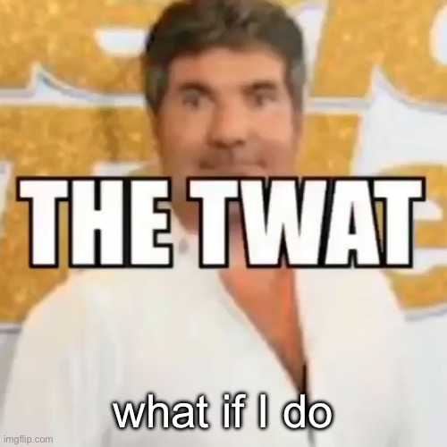the twat | what if I do | image tagged in the twat | made w/ Imgflip meme maker