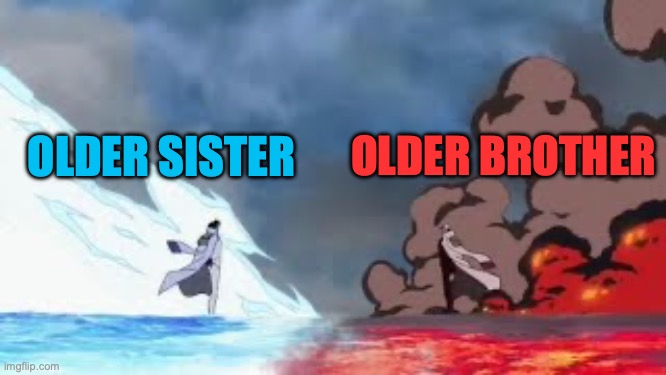 Older sister vs Older brother | OLDER BROTHER; OLDER SISTER | image tagged in aokiji vs akainu | made w/ Imgflip meme maker