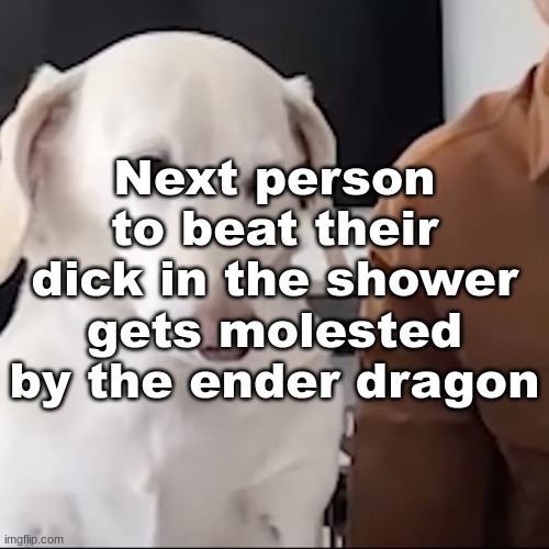 uh | Next person to beat their dick in the shower gets molested by the ender dragon | image tagged in uh | made w/ Imgflip meme maker