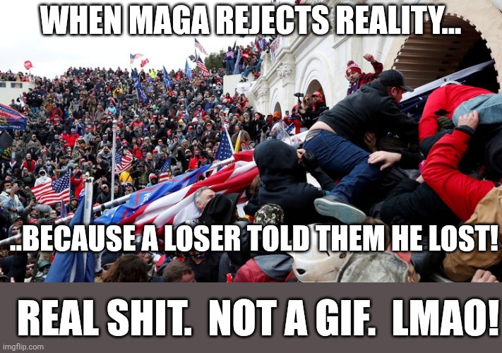 Capitol Terrorists | WHEN MAGA REJECTS REALITY... ..BECAUSE A LOSER TOLD THEM HE LOST! REAL SHIT.  NOT A GIF.  LMAO! | image tagged in capitol terrorists | made w/ Imgflip meme maker