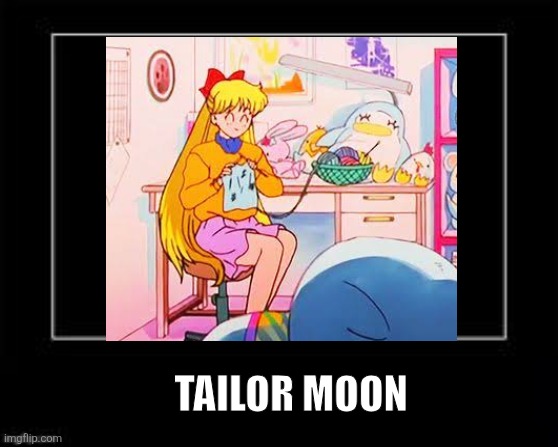Tailor Moon | TAILOR MOON | image tagged in black box meme,sailor moon | made w/ Imgflip meme maker
