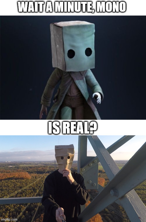 Little Nightmares 2, Meme | WAIT A MINUTE, MONO; IS REAL? | image tagged in gaming,creepypasta,backrooms,lattice climbing,mono,climber | made w/ Imgflip meme maker