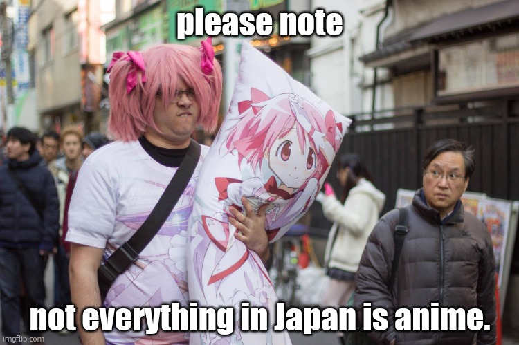 :3 | please note; not everything in Japan is anime. | image tagged in weeb in japan | made w/ Imgflip meme maker