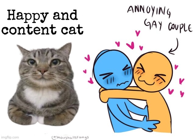 No offense | Happy and content cat | image tagged in memes,shitpost,lgbtq,oh wow are you actually reading these tags | made w/ Imgflip meme maker