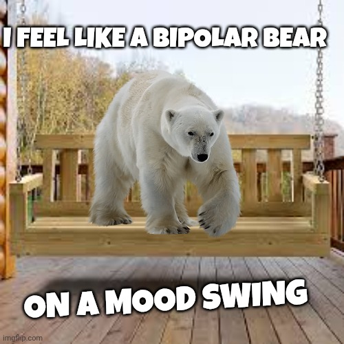 Bipolar bear | I FEEL LIKE A BIPOLAR BEAR; ON A MOOD SWING | image tagged in bipolar | made w/ Imgflip meme maker