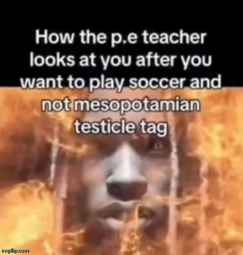 made w/ Imgflip meme maker
