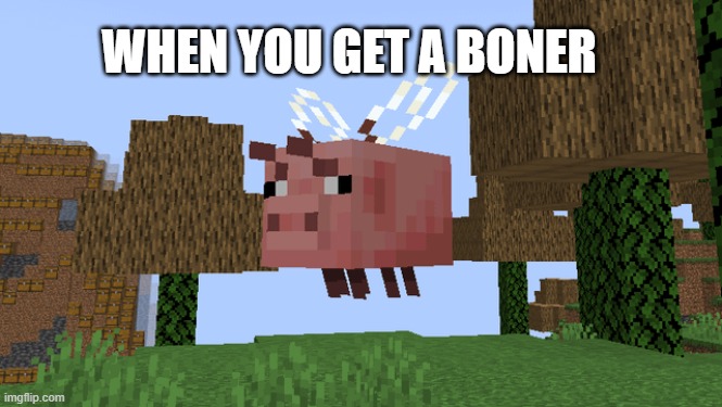 Pig Bee Bee | WHEN YOU GET A BONER | image tagged in minecraft,gaming | made w/ Imgflip meme maker