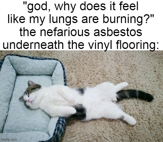 "god, why does it feel like my lungs are burning?"
the nefarious asbestos underneath the vinyl flooring: | made w/ Imgflip meme maker
