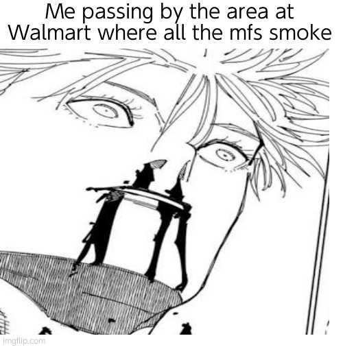 . | Me passing by the area at Walmart where all the mfs smoke | made w/ Imgflip meme maker