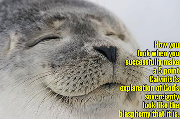 Satisfied Seal | How you look when you successfully make a 5 point Calvinist's explanation of God's sovereignty look like the blasphemy that it is. | image tagged in satisfied seal,calvinism,arminian,molinism,reformed theology 5 point calvinists,god is still god with free will | made w/ Imgflip meme maker