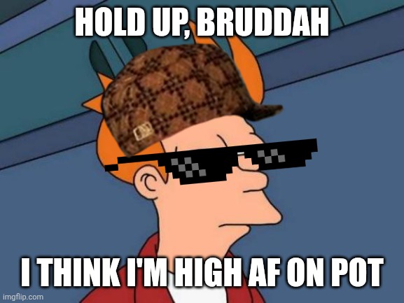 Futurama Fry | HOLD UP, BRUDDAH; I THINK I'M HIGH AF ON POT | image tagged in memes,futurama fry | made w/ Imgflip meme maker