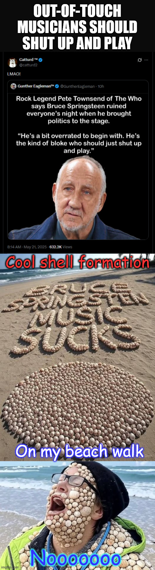 Out-of-touch musicians should shut up and play...  Nobody wants your opinion Bruce | OUT-OF-TOUCH MUSICIANS SHOULD SHUT UP AND PLAY; Cool shell formation; On my beach walk; Nooooooo | image tagged in bruce springsteen,shut up and play,jeep cancels contract | made w/ Imgflip meme maker