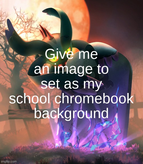 flutter | Give me an image to set as my school chromebook background | image tagged in flutter | made w/ Imgflip meme maker