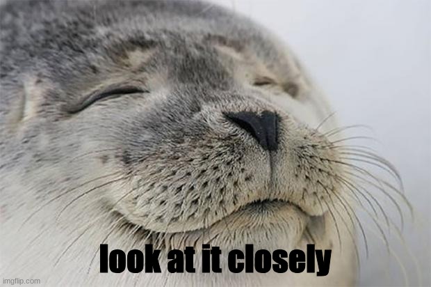 Satisfied Seal | look at it closely | image tagged in memes,satisfied seal | made w/ Imgflip meme maker
