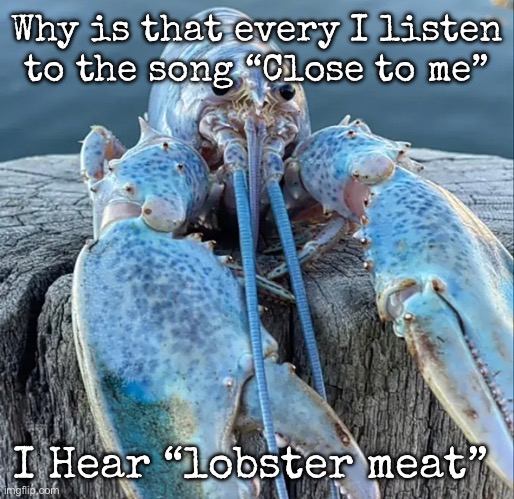Lobster jumpscare | Why is that every I listen to the song “Close to me”; I Hear “lobster meat” | image tagged in the blue lobster,msmg | made w/ Imgflip meme maker