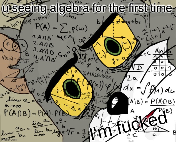 algeBRUH | u seeing algebra for the first time; I'm fucked | image tagged in memes,math | made w/ Imgflip meme maker