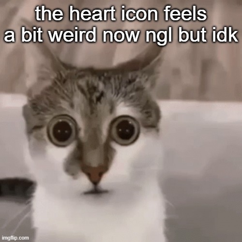 the heart icon feels a bit weird now ngl but idk | made w/ Imgflip meme maker