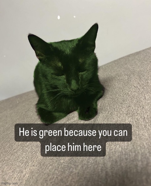 He will be placed | made w/ Imgflip meme maker