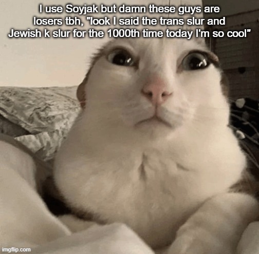 goober | I use Soyjak but damn these guys are losers tbh, "look I said the trans slur and Jewish k slur for the 1000th time today I'm so cool" | image tagged in goober | made w/ Imgflip meme maker