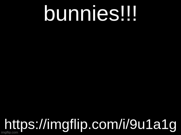 bunnies!!! https://imgflip.com/i/9u1a1g | made w/ Imgflip meme maker