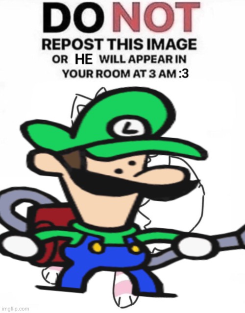 luigi | image tagged in it works lol | made w/ Imgflip meme maker
