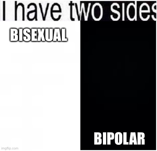 I guess that’s four sides then | BIPOLAR; BISEXUAL | image tagged in i have two sides | made w/ Imgflip meme maker