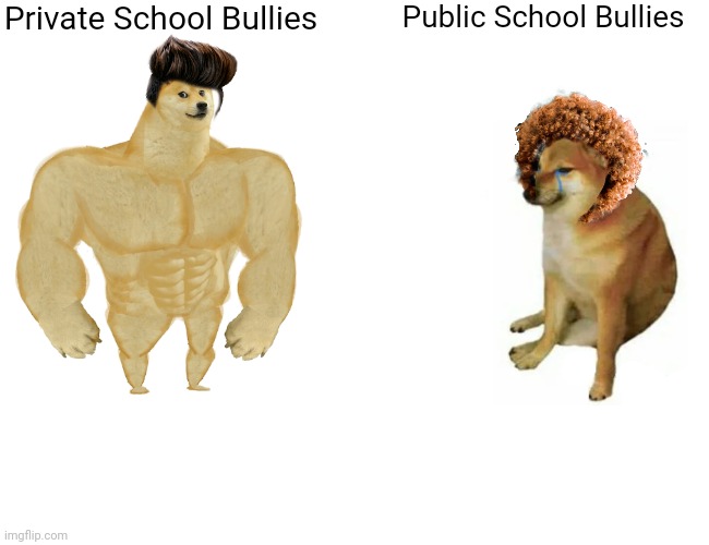Buff Doge vs. Cheems | Private School Bullies; Public School Bullies | image tagged in memes,buff doge vs cheems | made w/ Imgflip meme maker