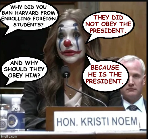When you struggle with a different point of view. | WHY DID YOU
BAN HARVARD FROM
ENROLLING FOREIGN
STUDENTS? THEY DID
NOT OBEY THE
PRESIDENT. AND WHY
SHOULD THEY
OBEY HIM? BECAUSE
HE IS THE
PRESIDENT. | image tagged in memes,kristi noem,obedience | made w/ Imgflip meme maker